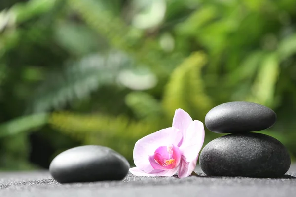 Steine Und Orchideenblüten Auf Schwarzem Sand Vor Verschwommenem Hintergrund Zen — Stockfoto