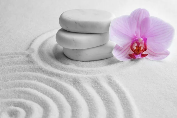 Στοίβα Από Άσπρες Πέτρες Και Όμορφο Λουλούδι Στην Άμμο Μοτίβο — Φωτογραφία Αρχείου