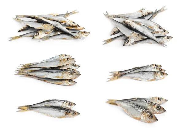 Set Tasty Dry Fish White Background — Stock Photo, Image