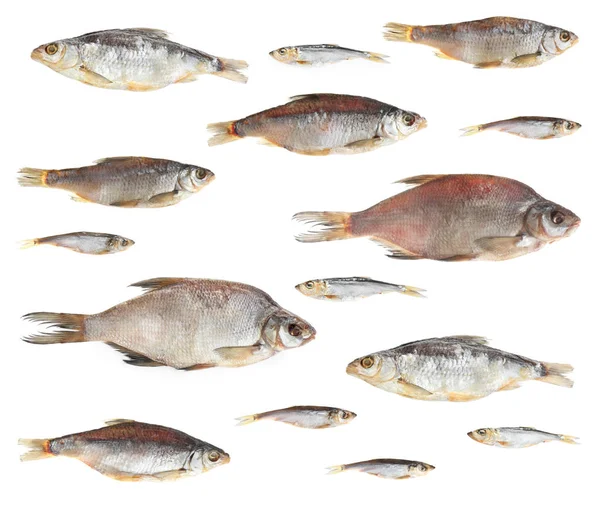 Set Tasty Dry Fish White Background — Stock Photo, Image