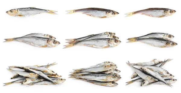 Zestaw Smacznych Suchych Ryb Białym Tle — Zdjęcie stockowe