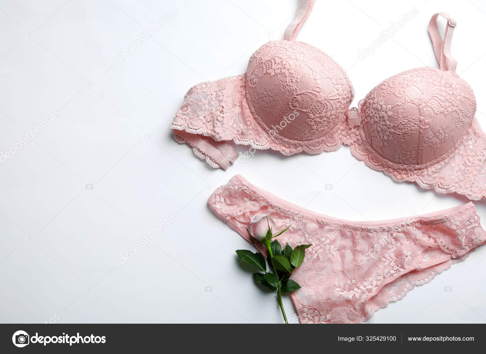 Elegant Plus Size Women`s Bras and Fluffy Cotton Flowers on Light