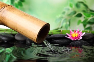 Bulanık yeşil arka planda bambu çeşmeli Zen bahçesi
