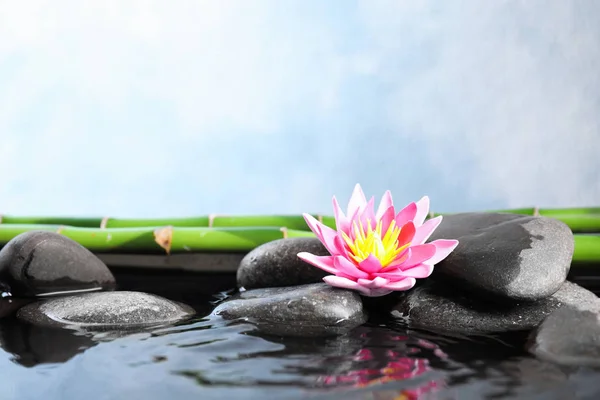 Schöner Zen Garten Mit Lotusblume Und Teich Auf Hellblauem Hintergrund — Stockfoto