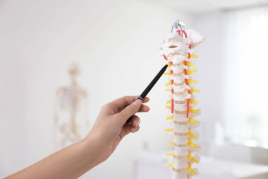 Klinikte insan omurga modelini gösteren ortopedist, yakın plan.