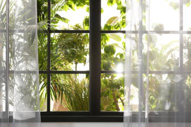 Sabahları bahçenin penceresinden güzel bir manzara.