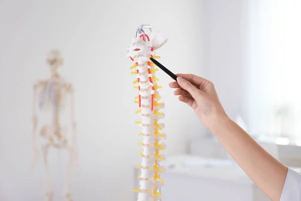 Orthopäde Zeigt Auf Menschliches Wirbelsäulenmodell Klinik Nahaufnahme — Stockfoto