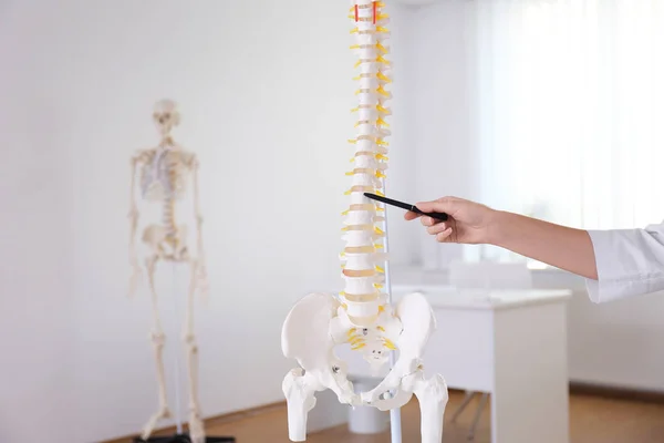 Ortopedista Apontando Modelo Coluna Vertebral Humana Clínica Close — Fotografia de Stock