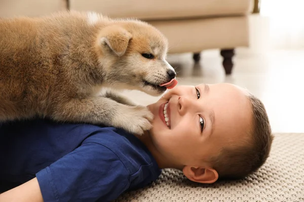 Liten pojke med Akita inu valp på golvet hemma. Vänlig hund — Stockfoto