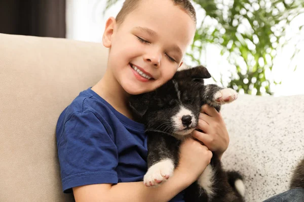 Menino com filhote de cachorro Akita inu no sofá em casa. Cão amigável — Fotografia de Stock