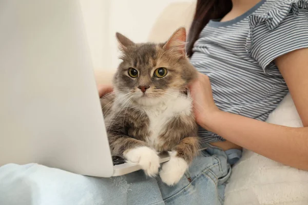 Cute little girl with laptop and cat at home, closeup. First pet — 图库照片