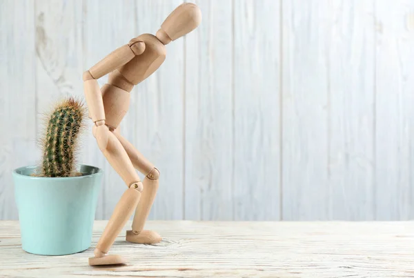 Wooden Human Figure Cactus White Table Space Text Hemorrhoid Problems — 图库照片