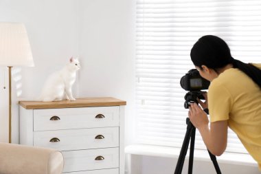 Profesyonel hayvan fotoğrafçısı güzel bir kadının fotoğrafını çekiyor.