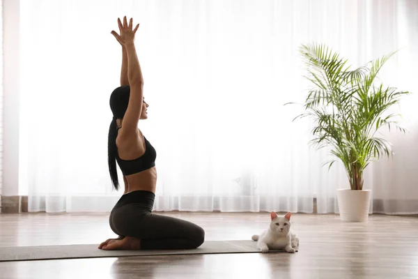 Jonge vrouw oefenen bliksemschicht asana met kat in yoga studio — Stockfoto