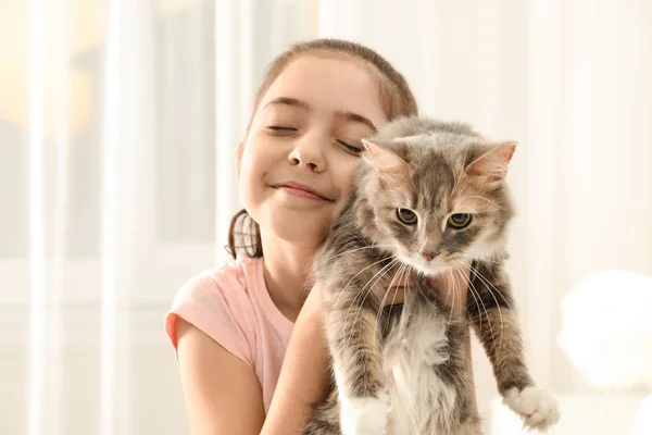 Jolie petite fille avec chat à la maison. Premier animal de compagnie — Photo