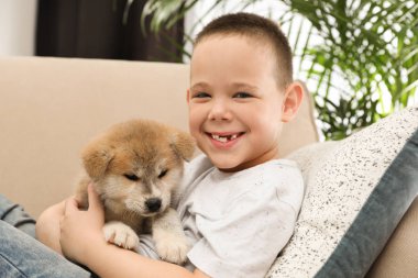Evdeki kanepede Akita inu köpek yavrusu taşıyan küçük çocuk. Dost canlısı köpek