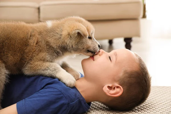 Kleiner Junge mit akita inu Welpen auf dem Boden zu Hause. freundlicher Hund — Stockfoto