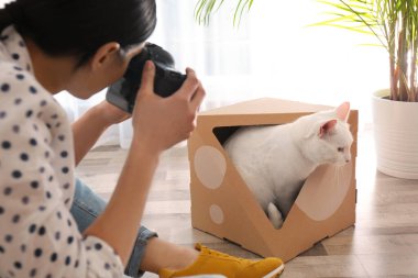 Profesyonel hayvan fotoğrafçısı güzel bir kadının fotoğrafını çekiyor.