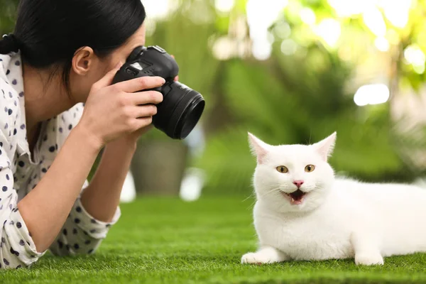 Professional animal photographer taking picture of beautiful whi — Stock Photo, Image