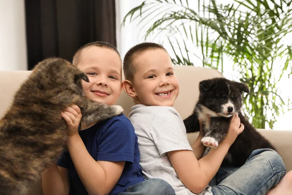 Meninos com filhotes Akita inu no sofá em casa. Cão amigável — Fotografia de Stock