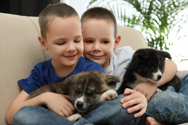 Little boys with Akita inu puppies on sofa at home. Friendly dog — Stock Photo, Image