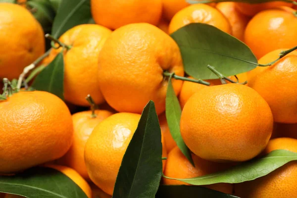 Friss Érett Mandarinok Levelekkel Háttérben Közelről Citrusfélék — Stock Fotó