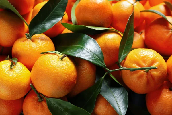 新鲜成熟的橘子 叶为背景 顶部观景 柑橘类水果 — 图库照片