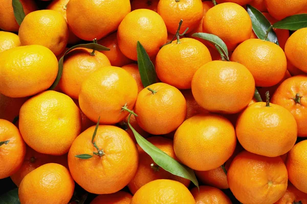 Färska Mogna Tangeriner Med Blad Som Bakgrund Ovanifrån Citrusfrukter — Stockfoto