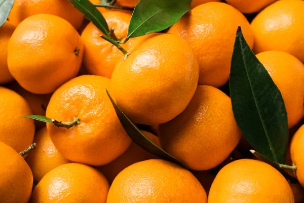 Friss Érett Mandarin Háttér Gyanánt Levelekkel Citrusfélék — Stock Fotó