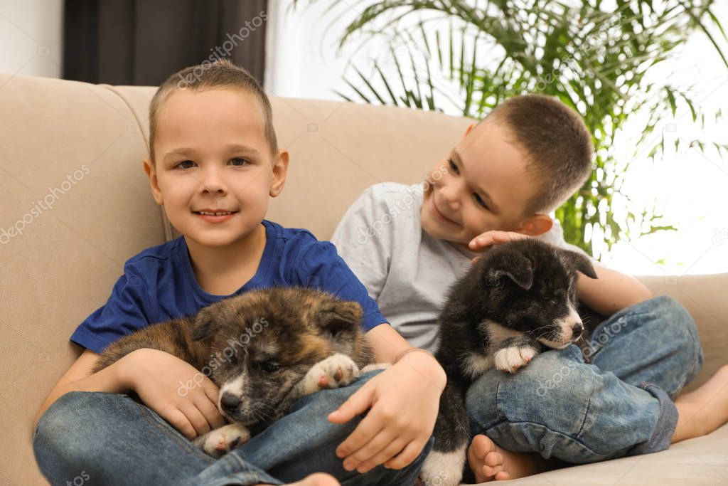 Little boys with Akita inu puppies on sofa at home. Friendly dog
