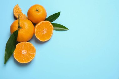 Taze olgun mandalinalarla düz kompozisyon ve açık mavi arkaplanda yapraklar, yazı için boşluk. Citrus meyvesi.
