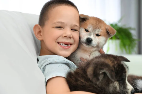 Petit garçon avec des chiots Akita inu sur le canapé à la maison. Chien sympathique — Photo