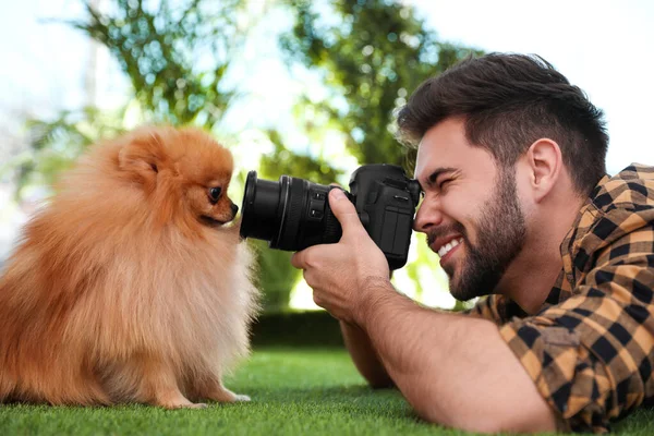 Профессиональный Фотограф Животных Фотографирует Красивую Померанскую Собаку Шпица Траве Открытом — стоковое фото