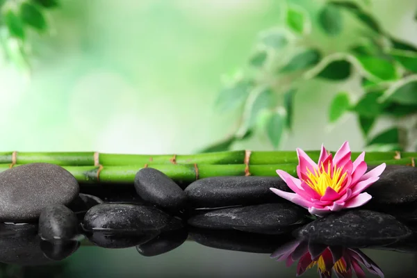 Schöner Zen Garten Mit Lotusblume Und Teich Auf Verschwommenem Grünem — Stockfoto