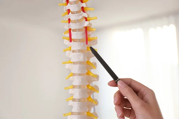 Ortopedista Apontando Modelo Coluna Vertebral Humana Clínica Close — Fotografia de Stock
