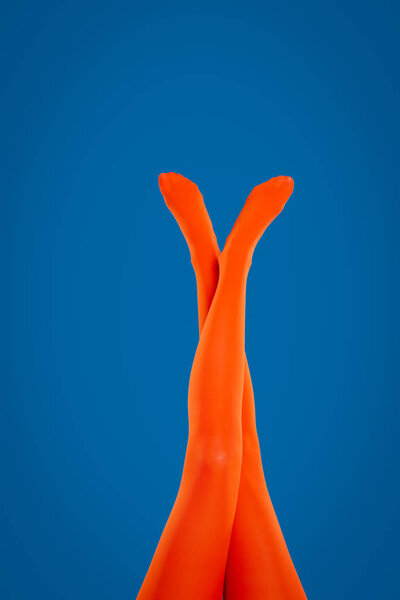 Woman wearing orange tights on blue background, closeup of legs