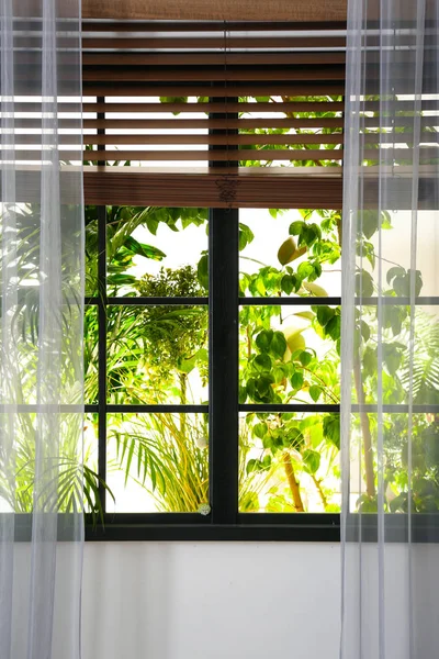 Beautiful View Window Garden Morning — Stock Photo, Image