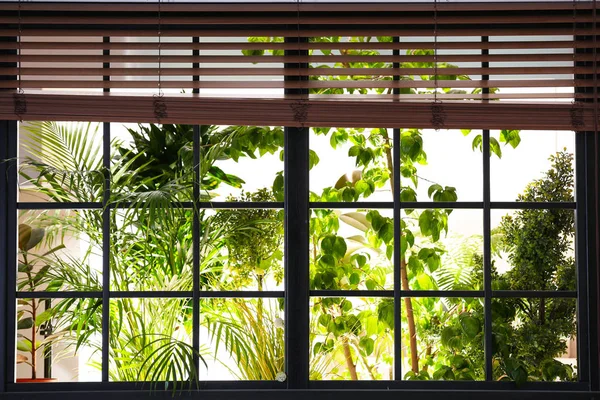 Beautiful view through window on garden in morning