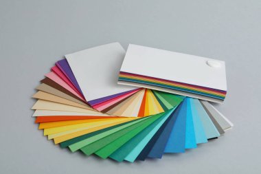 Açık gri arkaplanda renk paletleri. Profesyonel örnekler