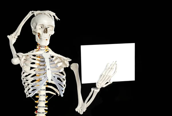 Artificial Human Skeleton Model Blank Paper Sheet Black Background Space — Stock Photo, Image