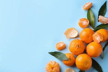 Açık mavi arka planda taze taze mandalinalar, düz uzanmış. Metin için boşluk