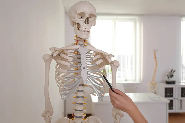 Ортопед Який Вказує Модель Людського Скелета Клініці Крупним Планом — стокове фото