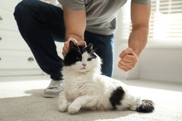 男人在家里打猫 手拉手 对宠物的家庭暴力 — 图库照片