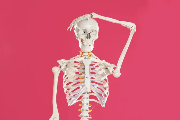 Kunstmatig Menselijk Skelet Model Karmozijnrode Achtergrond — Stockfoto