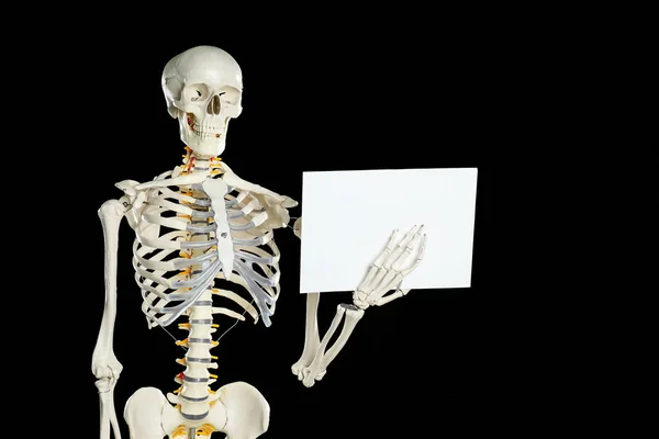 Modell Eines Künstlichen Menschlichen Skeletts Mit Leerem Papierblatt Auf Schwarzem — Stockfoto