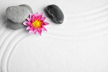 Zen bahçesi. Güzel nilüfer çiçeği, taşlar ve boşluk beyaz kumdaki yazı için, düz yatıyordu.