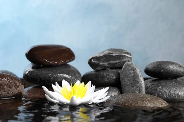 Beautiful Zen Garden Lotus Flower Pond Light Blue Background — Stock Photo, Image