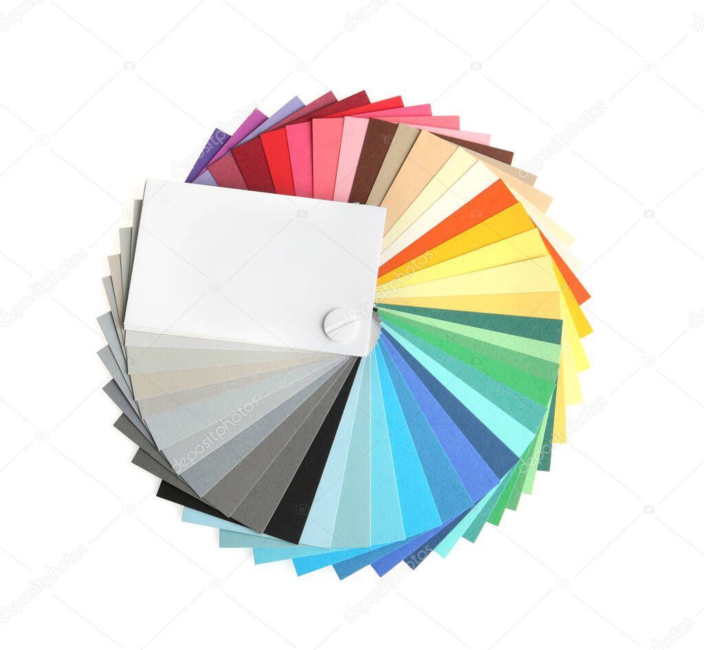 Color palette on white background, top view