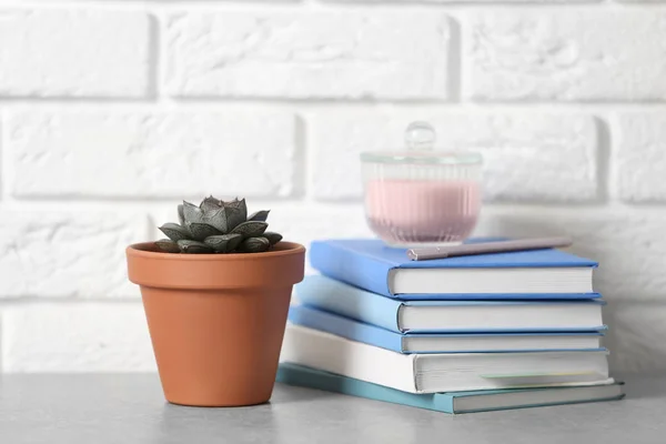 Beautiful Succulent Books Grey Stone Table Brick Wall Home Plant — Stock Photo, Image