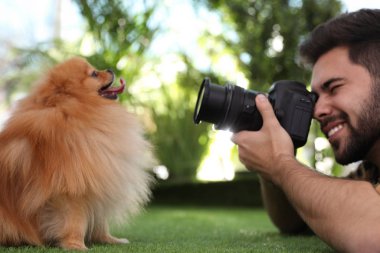 Profesyonel hayvan fotoğrafçısı çimlerin üzerinde güzel Pomeranya köpeğinin resmini çekiyor.